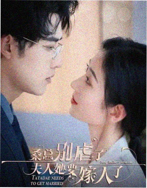 中文字幕电视剧 无声证词